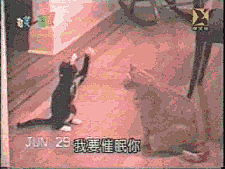 李洛克Rockman采集到gif