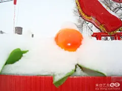 多图 正月十五雪打灯2：雪压彩灯更喜人（08扎兰屯元宵灯展细节）, 微冷lmb旅游攻略