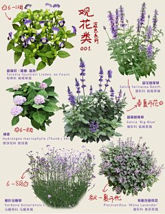YINchuanchuan采集到花境