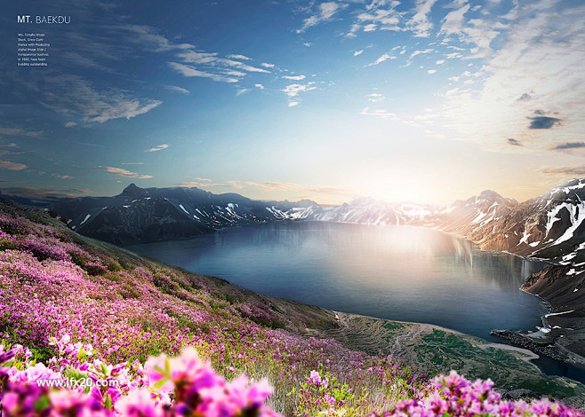 山石青苔朝阳湖泊山旁大树绿草油菜花风景海...