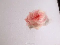 #身边的艺术##花酿幸福#梦幻水彩花卉 上次分享了月季花园的画法，小伙伴们在折服于梦幻花卉的强大之余表示hold不住，尤其是很多刚接触水彩的宝宝们觉得难。所以@羽_Rachel 老师贴心的为大家准备了详细的单朵月季绘画教程。蔷薇科花植物为梦幻花卉的典型代表，是想要学习梦幻花卉画法的宝 ​​​​...展开全文c