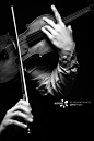 Violin player - 创意图片 - 视觉中国