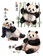 「国宝图鉴」系列二十五只宝宝啦！
华丽.贤贤崽.北川.阿宝.福菀.灵岩.北侠.雅致.七仔.福宝.丫丫.园润.渝爱.壮壮.胖大海.北辰.二顺.宝力.缘小.香果.小鳌拜.乔小八.和花.徐萌萌.园子.