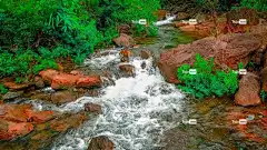 河 溪 森林 酷背景 美丽的壁纸 高清壁纸 自然 桌面背景 天堂