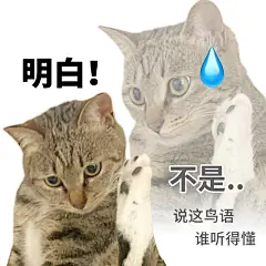 很实用的猫猫表情包 ... - @chicstyle的微博 - 微博