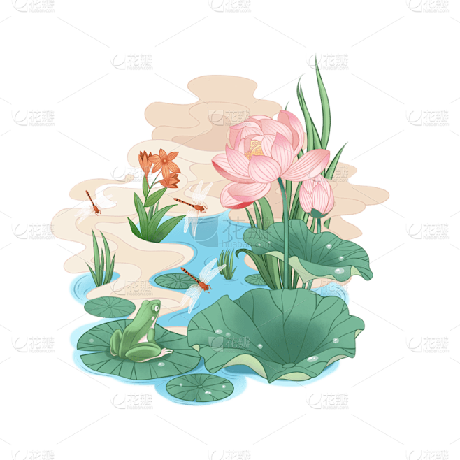 荷花