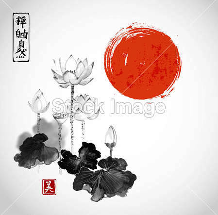 荷花和红红的太阳手绘与墨水#国画# #水...