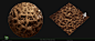 Diablo IV Vessel of Hatred - Bug Cave Materials