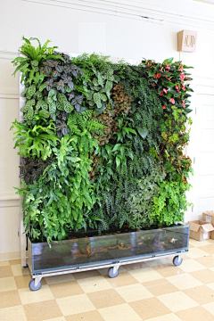 饶阿志=植物墙1花艺软装1花艺培训采集到植物墙装饰