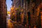 fog hills Italy Magic light mist Paintings Tuscany