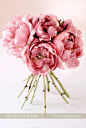 peonies... <3 by fay