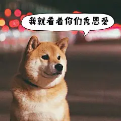 maru真的很适合做冬季表情包啊~~~~加字by 黄油相机app