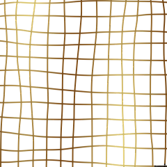 ☆AGE-FX☆采集到金色纹理,元素PNG