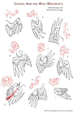 YI6yTonN采集到绘画素材