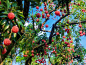src=http://safe-img.xhscdn.com/bw1/0743105b-04ff-4ef1-bfb1-6336d163f040?imageView2/2/w/1080/format/jpg&refer=http://safe-img.xhscdn.com&app=2002&size=f9999,10000&q=a80&n=0&g=0n&fmt=auto (1080×810)