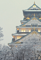 Osaka Castle, Japan 大阪城