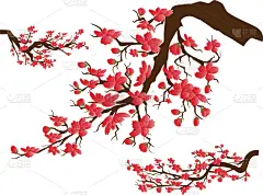 樱桃,樱之花,背景聚焦,春节,传统,中间,云,花,问候
