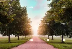 树木 壁纸4K 高清壁纸 大街 林荫大道 4K壁纸1920X1080