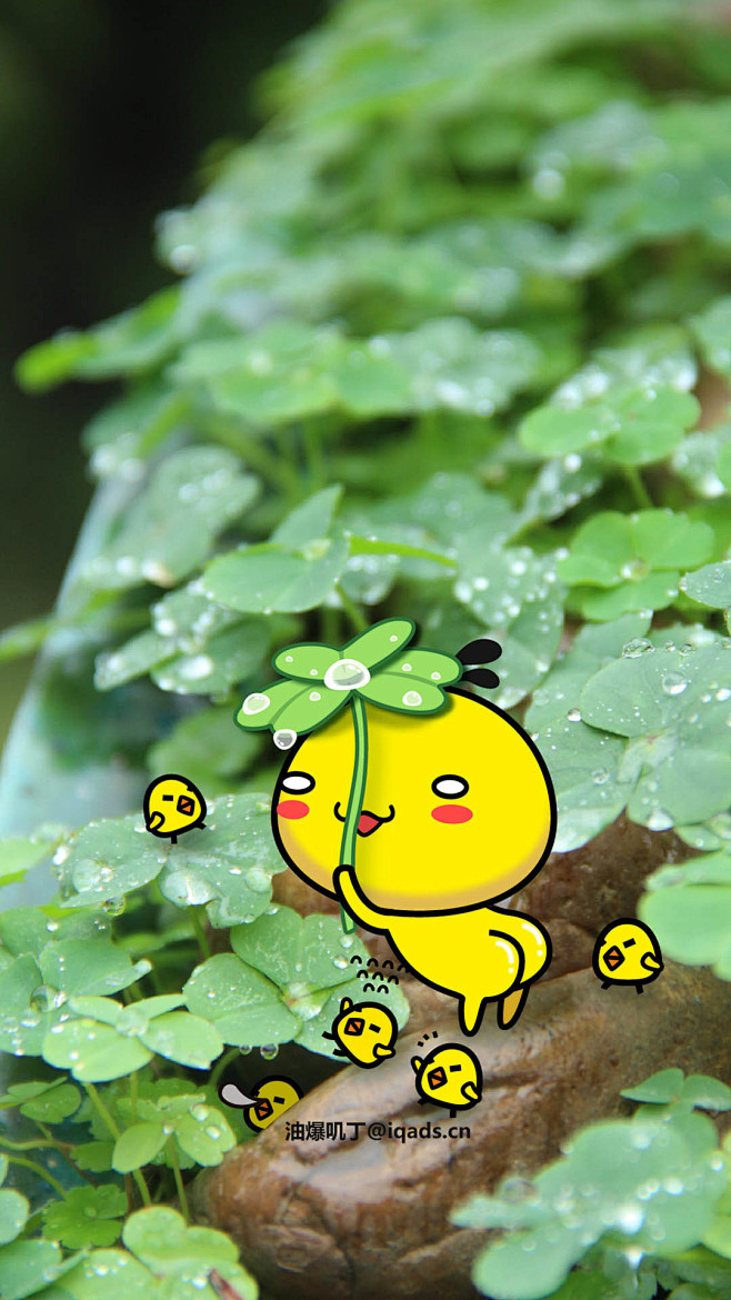 四叶草1080x1920壁纸可爱动漫卡通油爆叽丁背景图