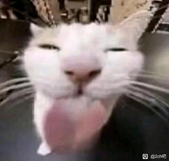 meme图交流_meme图吧_百度贴吧-花瓣网