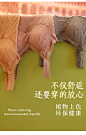 保暖背心女加绒加厚防寒冬季内穿带胸垫吊带内衣打底上衣紧身塑身-淘宝网