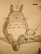 龙猫