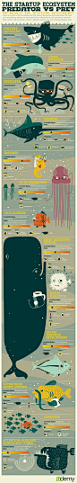 I love these. I want to do one. The Startup Ecosystem: Tech Roles Compared [Infographic]: 