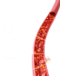 9e104315c8ed5ef1e6629ec33e7394a811a133f2641da-7V9bJG_upscayl_4x_realesrgan-x4plus