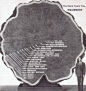 在美国自然历史博物馆里有一件著名的展品，叫做“Mark Twain Tree”，是一段巨杉树（giant Sequoia）的切面，它于1891年被砍伐，树龄有1341年，科学家将树木生长时期的历史事件标注在年轮上，成为一件非常壮观的艺术品。