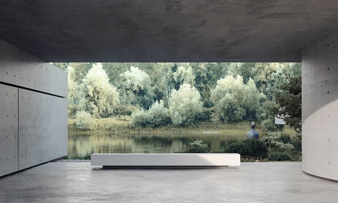 Viter House Designed...