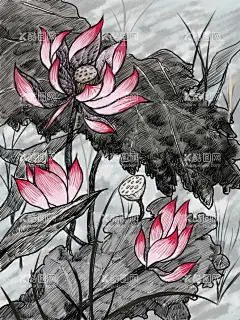 荷花插画           - 源文件下载【酷图网】古典花卉插画,古风,牡丹,丹顶鹤,中国风,国风,国潮,中式,新中式,现代,复古,古典,文化,传统文化,传统,民族风,背景,景观,壁纸,招贴,海报,地产,广告,宣传,单透,详情页,店铺首页,展板,花草,彩页,传单,水墨,元素,装饰,创意,图案,素材,手绘,插画,插图,PSD文件,PSD,