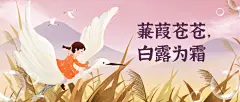 白露节气祝福白鹭鸟手绘公众号首图