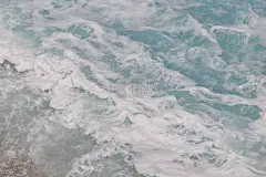 闪闪发光的水族海壁纸背景背布
