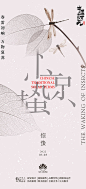 【源文件下载】海报 地产 二十四节气 惊蛰 蜻蜓 树叶 创意 中式