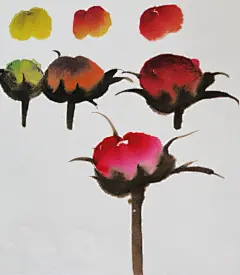 国画牡丹的画法教程【国画知识普