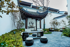 zmc、小太阳采集到围墙