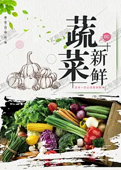 蔬菜海报 【酷图网】蔬菜海报,新鲜青菜,新鲜健康,精品蔬菜,有机蔬菜,餐饮文化,蔬菜挂画,蔬菜饮食,蔬菜超市,蔬菜市场,蔬菜广告,新鲜蔬菜,绿色蔬菜,蔬菜模板,蔬菜扁豆,蔬菜大蒜,蔬菜胡萝卜,蔬菜黄瓜,蔬菜韭菜,蔬菜毛豆,天然,健康,蔬菜番茄,蔬菜土豆,蔬菜,蔬菜大棚,蔬果生鲜超市,生鲜配送,有机,绿色安全,