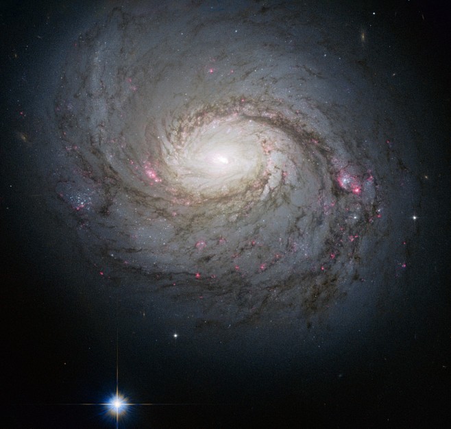 旋涡星系M77。专业的天文学家们已经不止...