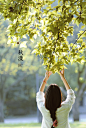 以一种虔诚的姿势，聆听灵魂触及四季的歌声，揽一袭秋色，吟一曲淡淡的秋之歌，让爱的诗行在指间流淌……