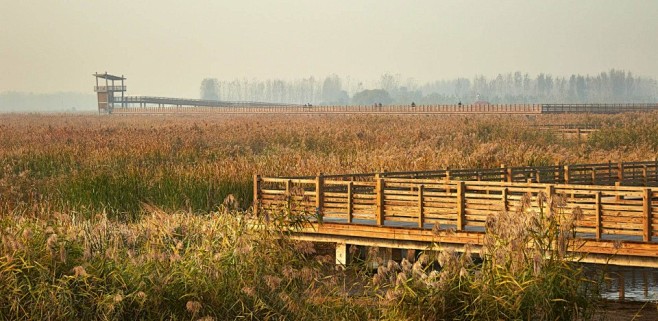 009-Weishan Wetland ...