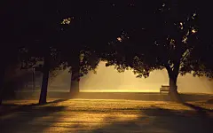 孤独的长椅唯美风景高清壁纸