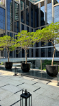 Four seasons hotel 曼谷四季酒店 - 小红书