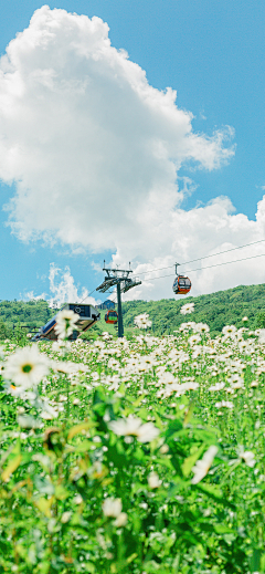 _milkytea采集到风景