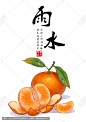 雨水 沃柑 沃橘 柑橘 水果 沃柑包装素材 手绘沃柑 沃柑插画 水果包装素材 节气 24节气 雨水海报 二十四节气 节气海报 节气插画