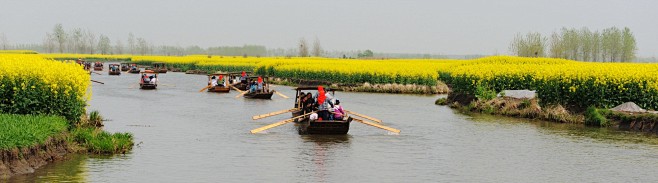 春游兴化千岛油菜花