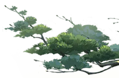 漫漫KING采集到花草素材