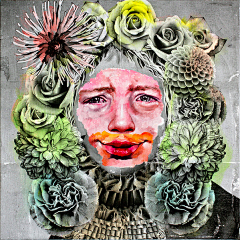 Ankidd5采集到ART
