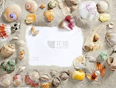边框框夏季海滩贝壳空白复制空间