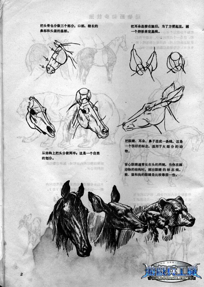 【资料交流】动物画技法 中文版 扫描_看...