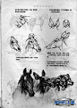 【资料交流】动物画技法 中文版 扫描_看图_动物绘画吧_百度贴吧